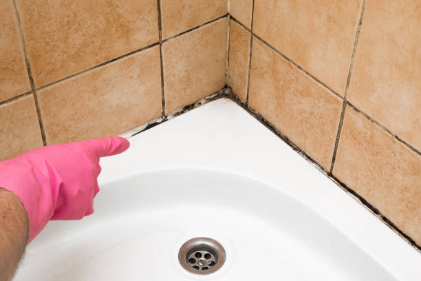 Best Mold Testing  in Williamsport, MD